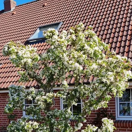 Appartement Gaestehaus Hoofdmann